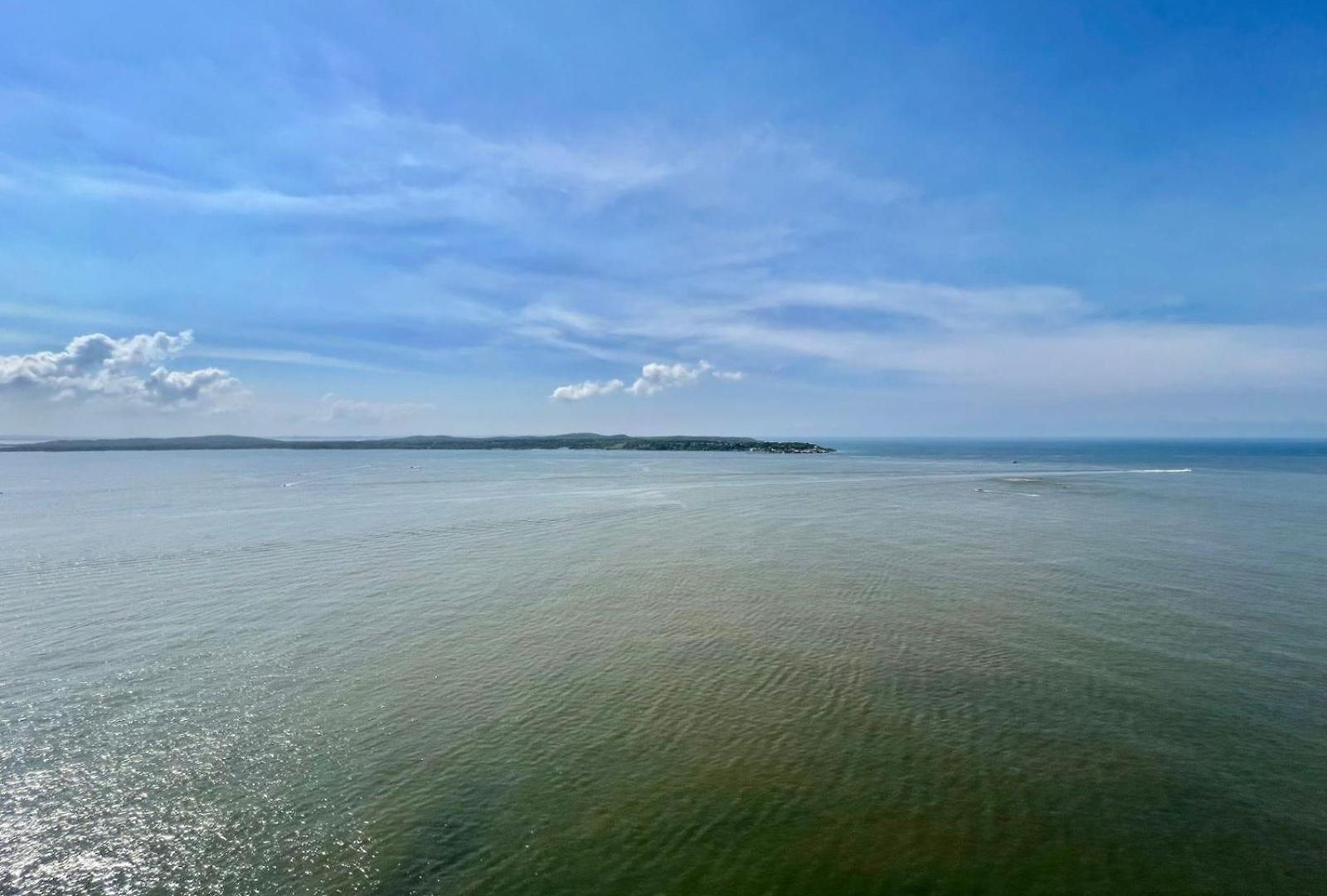 Oceanview Bocagrande Laguito Palmetto Sunset Building Apartamento