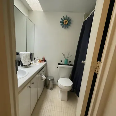 Apartment Oceanview Bocagrande Laguito Palmetto Sunset Building
